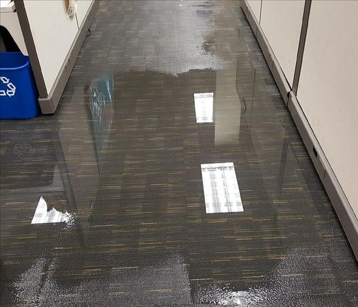 Standing water on carpet flooring.