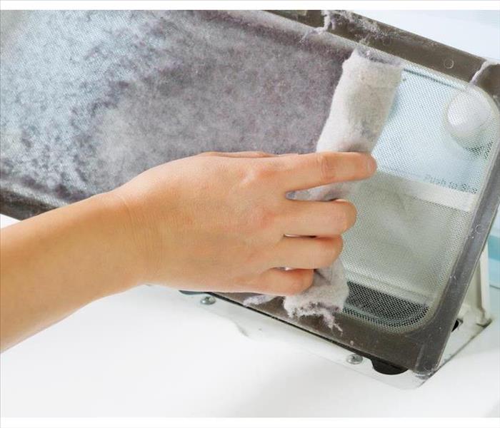 Horizontal photo of female hand taking the lint out from dirty air filter of the dyer machine