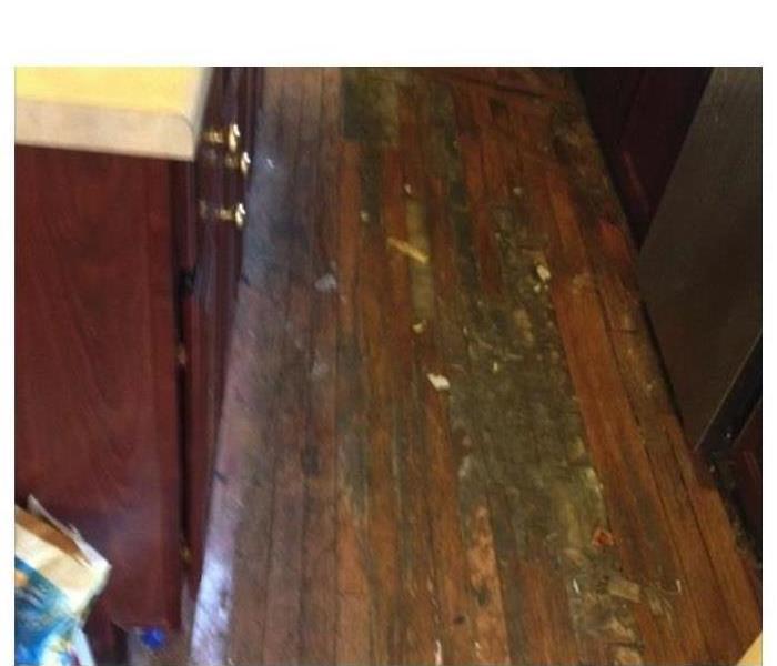 Mold on hardwood floors