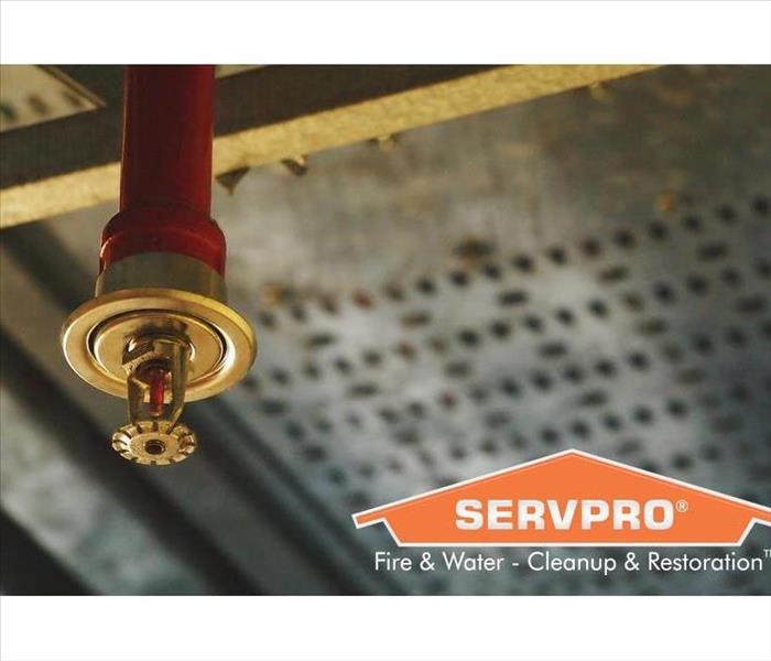 Automatic ceiling Fire Sprinkler in red water pipe System. SERVPRO logo on the picture